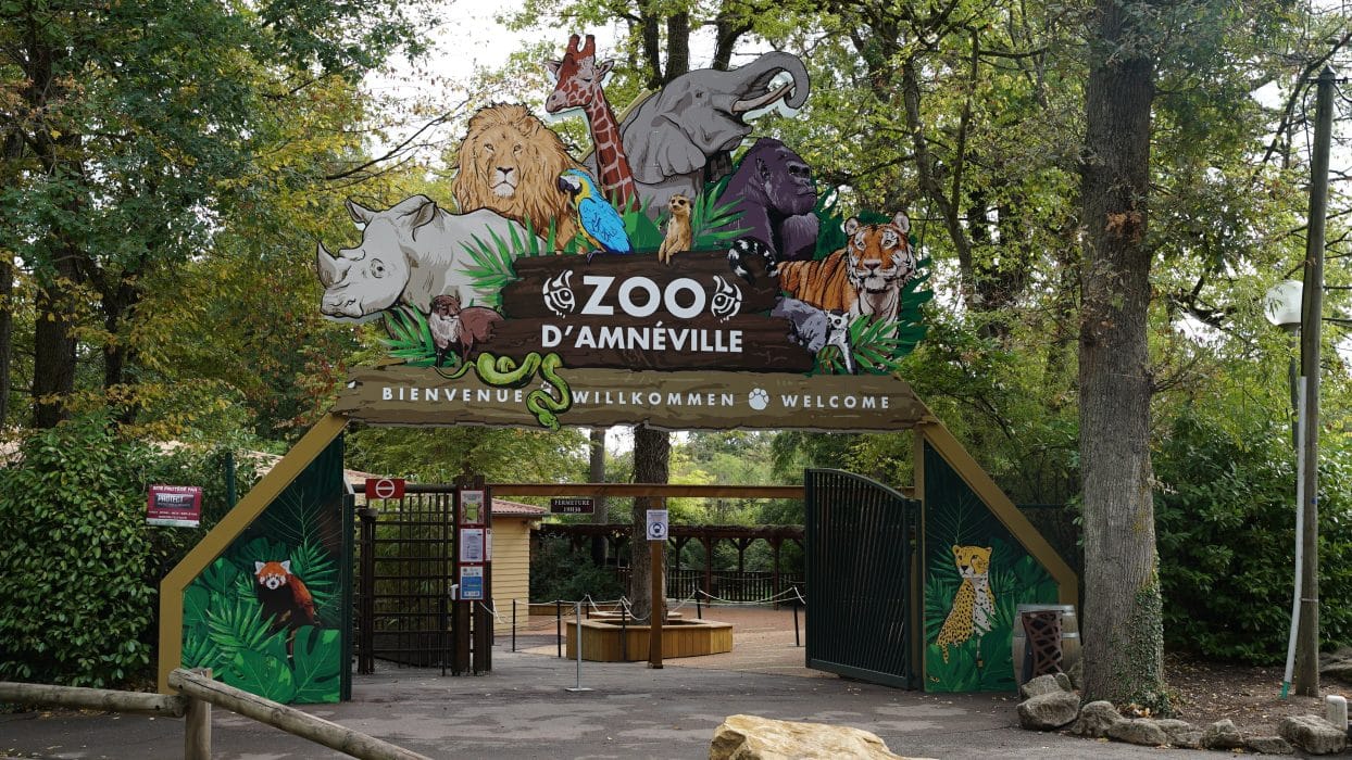 Le 9 octobre 2021, une journée de rêve au zoo d’Amnéville pour Flavio