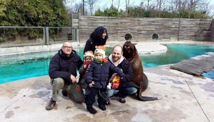 Le 10 mars Enzo reçu par Watson, l’otarie vedette du zoo d’Amnéville