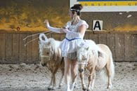 Le 19 juin Pauline visite les haras de Rosières aux Salines et apprécie le spectacle