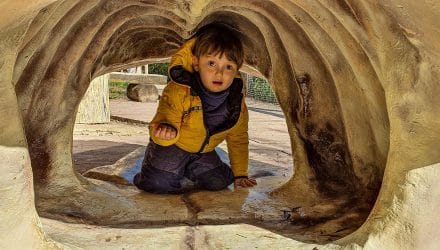 La Parc Sainte Croix accueille Aubun et sa famille en octobre 2020