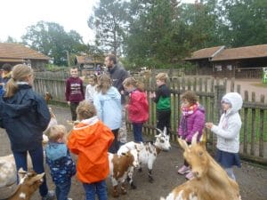 En septembre 2019, nous découvrons les nouveaux gîtes du parc Sainte Croix