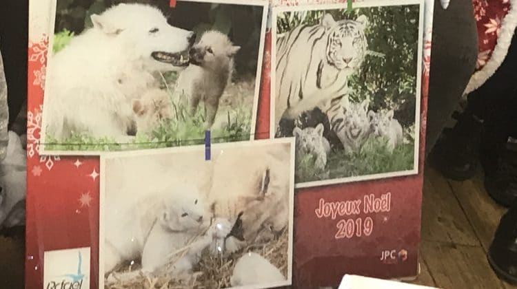 Le 29 Novembre 2019, Fête de Noël au zoo d’Amnéville