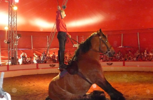 Le 4 Août, la Magie du cheval a opéré … à Montier en Der.